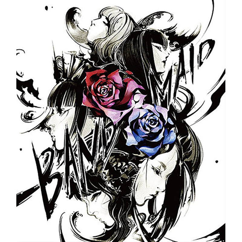 crxp-10007.jpg?v=1654759204